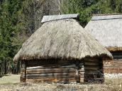 2011 р. Загальний вигляд з тильного боку