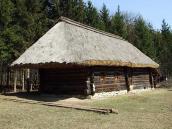 2011 р. Загальний вигляд