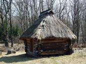 2011 р. Загальний вигляд