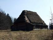 2011 р. Загальний вигляд