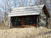 Пасічина із с.Шепіт [№ 26]