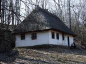 2011 р. Загальний вигляд