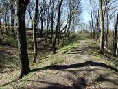 2011 р. Фрагмент тераси північного…