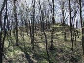 2011 р. Північна площадка городища.…