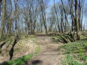 2011 р. Рів, що відділяє північну…