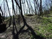 2011 р. Курган із сучасною…