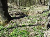 2011 р. Кургани і грабіжницькі ями