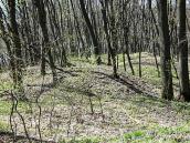 2011 р. Фрагмент курганного могильника