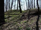 2011 р. Фрагмент курганного могильника