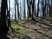 2011 р. Фрагмент курганного могильника