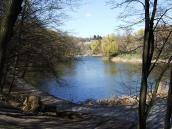 2011 р. Став 8. Вигляд з південного…