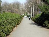 2011 р. Алея (від входу в напрямку…