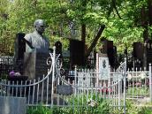 2011 р. Загальний вигляд