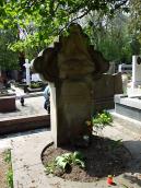 2011 р. Загальний вигляд