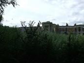 Монументальні будяки на тлі палацу…