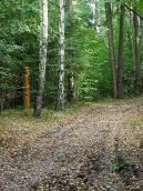 2011 р. Алея зі скульптурою дядька Лева