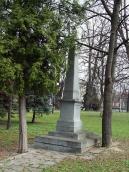 Могила В. Свідзінської