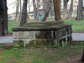 2012 р. Вигляд ззаду