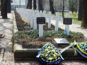 2012 р. Загальний вигляд з півночі