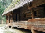 2012 р. Галерея в ракурсі