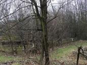 Ліва частина