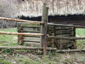 2012 р. Криниця