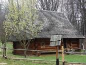 2012 р. Загальний вигляд