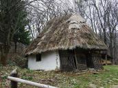 2012 р. Загальний вигляд