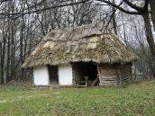 2012 р. Загальний вигляд