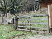 2012 р. Брама з лісою