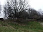 2012 р. Загальний вигляд