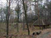 2012 р. Фрагмент зони «Буковина»