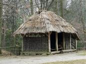 2012 р. Загальний вигляд