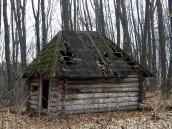 2012 р. Загальний вигляд