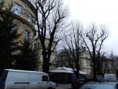 2012 р. Загальний вигляд