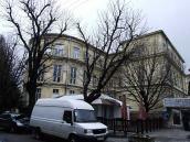 Лівий флігель