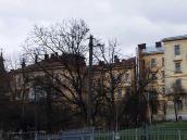 2012 р. Загальний вигляд з тилового…