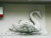 Рельєф лебедя