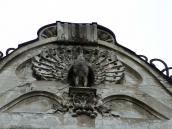 Рельєф павлина