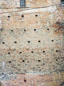 Фрагмент муру