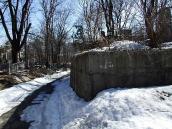 2013 р. Алея між безіменним полем…