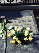 2013 р. Загальний вигляд