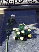 2013 р. Загальний вигляд