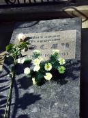 2013 р. Загальний вигляд