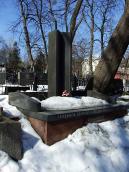 2013 р. Загальний вигляд