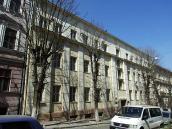 2013 р. Загальний вигляд