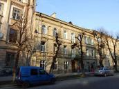 2013 р. Загальний вигляд