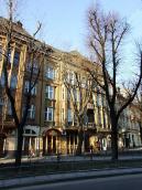 2013 р. Загальний вигляд