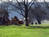 2013 р. Сад і пасіка