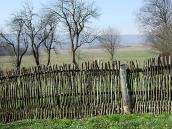 2013 р. Пліт на тлі долини